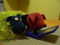 Singing Sock Dogz!