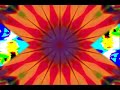 Trip video