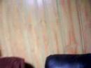 Lino\ Lino\