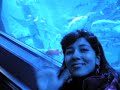 Aquario yokohama