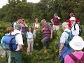 Fontburn Cenenary Walk Fontburn Cenenary Walk