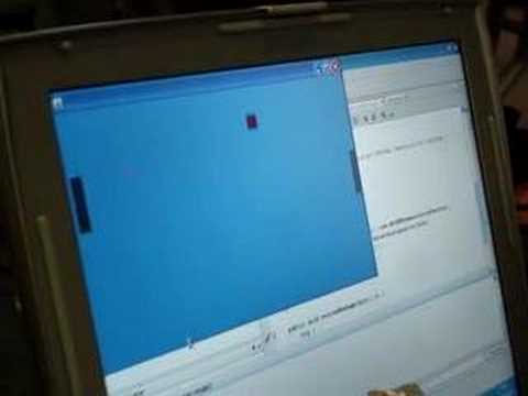 JustJava 2007 - BluePong gigante