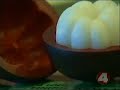 Mangosteen on Fox News