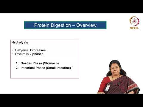 Proteins