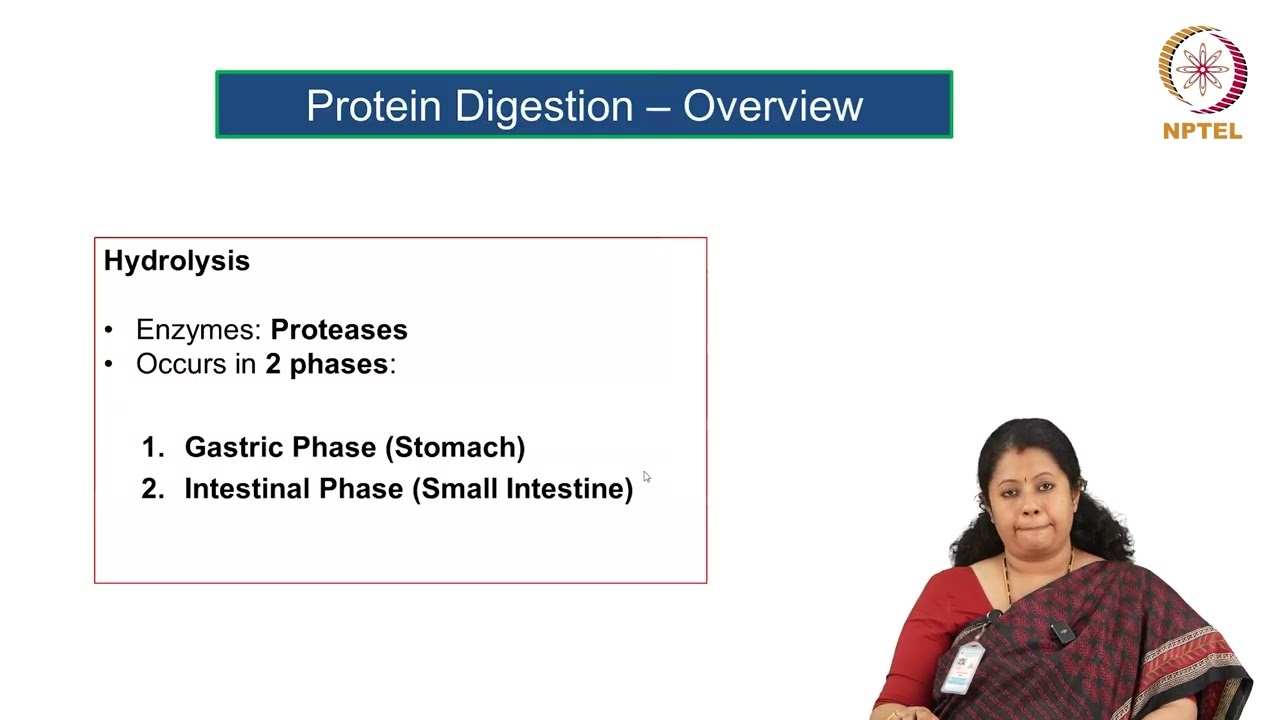 Proteins