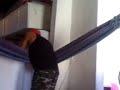 Rennan Cavalcante HAHAHAHA'