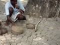 Snake Charmer from Cochin, Kerala