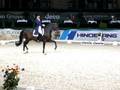 Amadeus Horse Indoors 2008