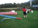 agilitytraining agilitytraining