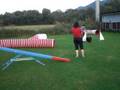 agilitytraining