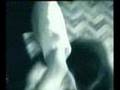 Querelle