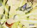 frieza