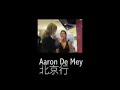 Aaron De Mey ???