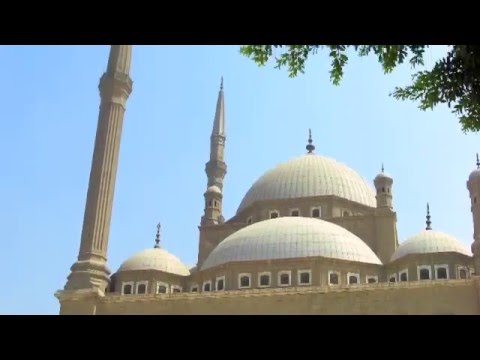 SOI Video 2008