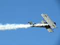 videos de Fokker DVII