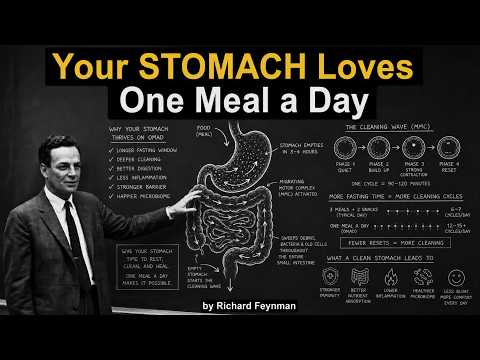 Why Eating Once a Day Helps YOUR Gut but Costs YOUR Muscle