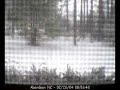 Snowfall in Aberdeen - Webcam, Timelapse