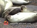 Tucan Travel Latin America Part 3 Tucan Travel Latin America Part 3
