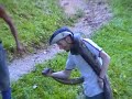 HUGE ANACONDA VS SMALL WHITE BOY