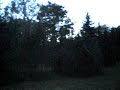 rehe ööbik rehe ööbik