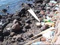 descontaminacion bahia
