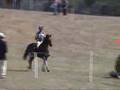 European Eventing Championship 2007 - x-country