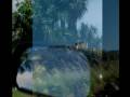 B.W. Stevenson Video - "on my own"