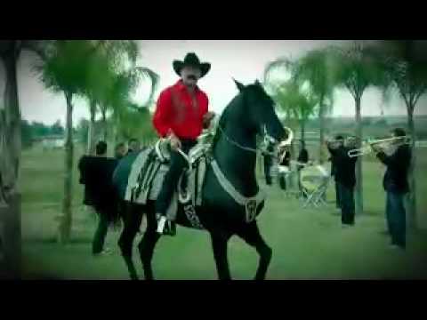 Imagen de previsualización de YouTube