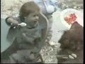 Recopilación divertida de animales ladrones