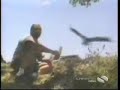Recopilación divertida de animales ladrones