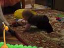 Creepeng 2