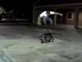 us skating