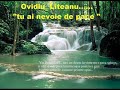 OVIDIU-LITEANU-tu-ai