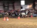 Scurry at Carriage Fair - 4C