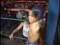 midgets boxing