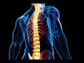 Упражнения для правильной осанки. :: Упражнения для правильной осанки.
Автор: Сергей Сивец - эксперт в области физической культуры и спорта. Сайт автора: http://www.athleticblog.ru/ Авторские права: вы имеете полное право...