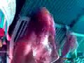 olongapo-scandal-scandal-of-all-scandals.html