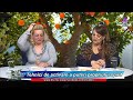 Portocalii aurii 2018 06 05 Portocalii aurii 2018 06 05