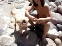  catania  alicudi cane cantante 