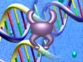 Antimicrobial Resistance Antimicrobial Resistance