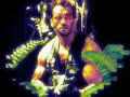 The Predator The Predator