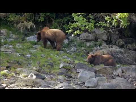 A Week Aboard the Safari Explorer in Alaska