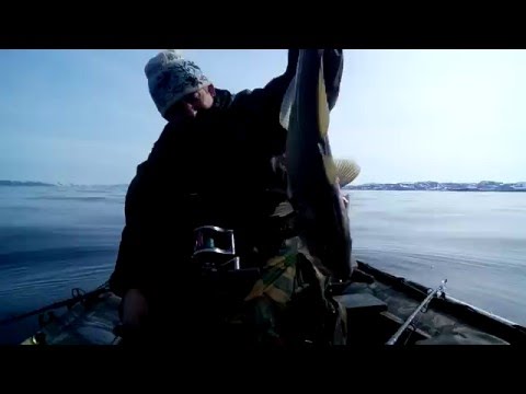 рыбалка в териберке 2016 на треску рыбалка во териберке 2016 нате треску