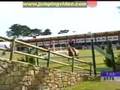 Show Jumping