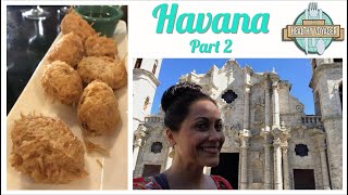The Healthy Voyager Havana Part 2