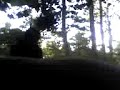 enci