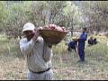 Tourists Rebuild Temple in Nepal