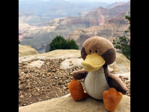 Schlenker mit Turnbeutel - Wie der Schnabel gewachsen ist