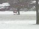 bum in snow bum in snow