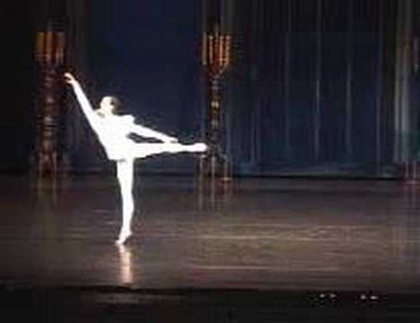 Nerijus Juska - Swan lake 